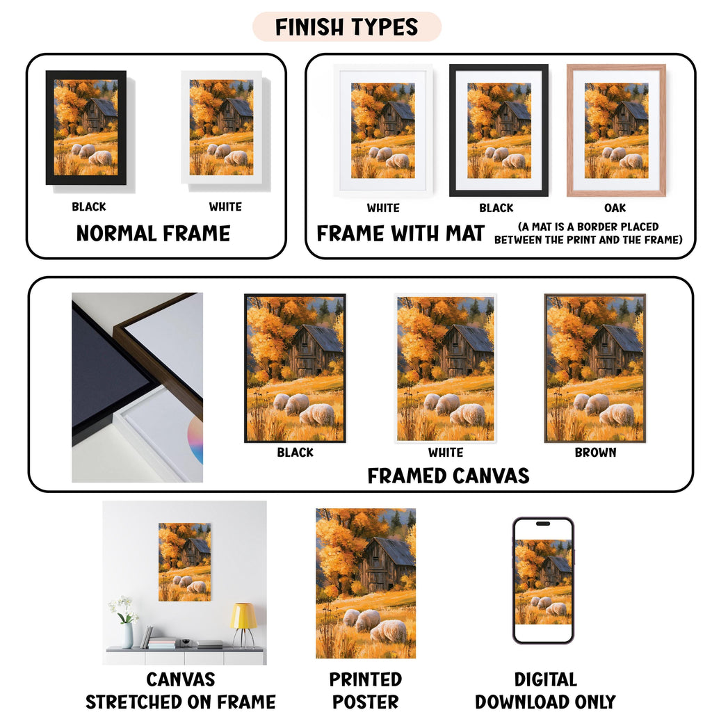 a series of photographs showing different types of frames