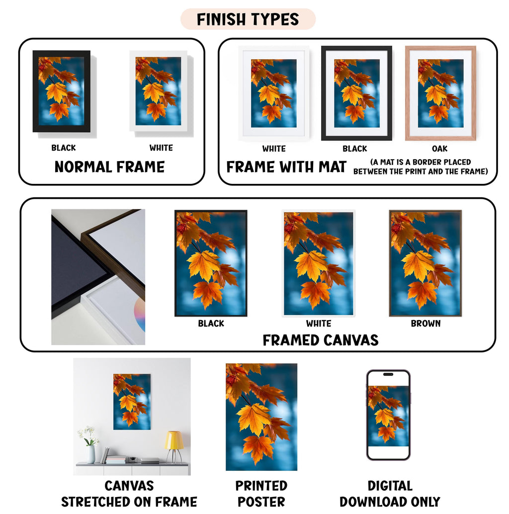 various finish types for a framed artwork, including a normal frame, a frame with a mat, a black frame, a white frame, a black frame, a white frame, a brown frame, a stretched canvas, a printed poster, and a digital download only.