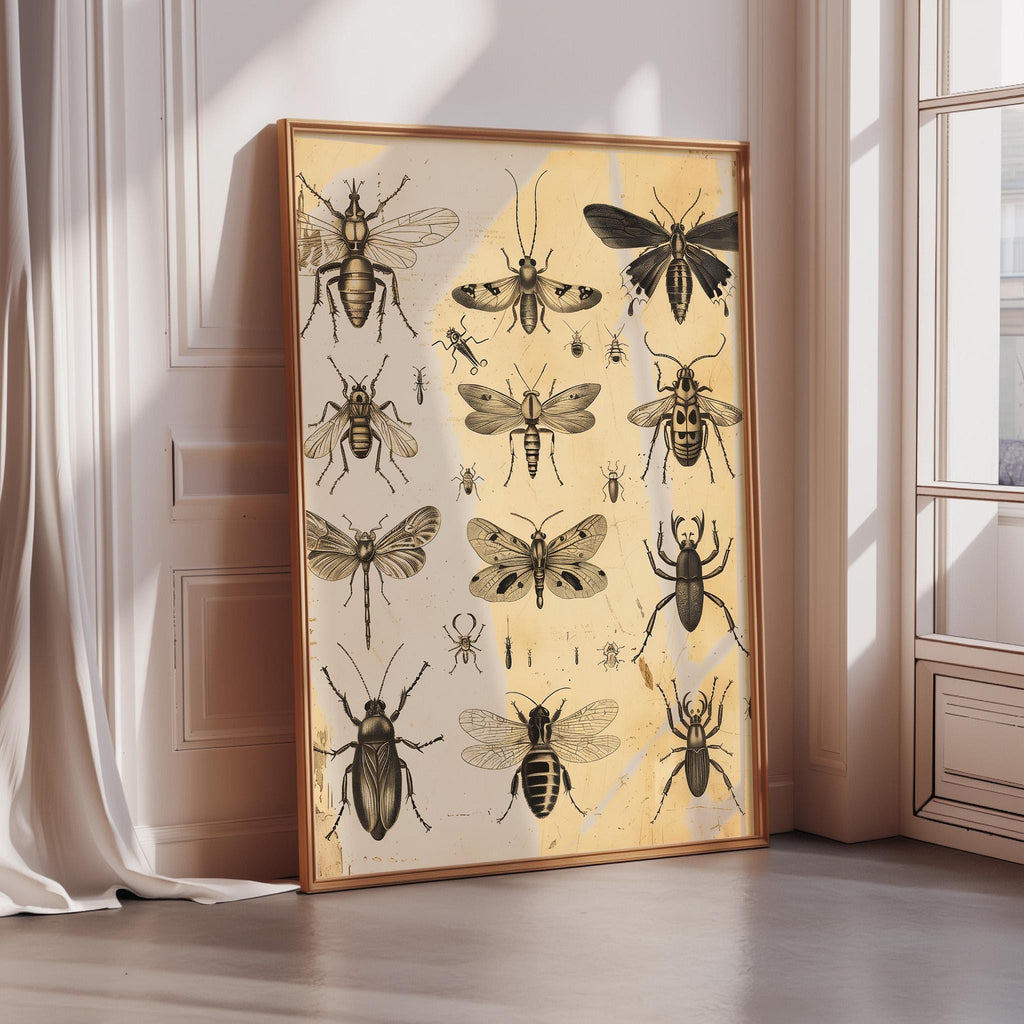 Vintage Insect Art Print – Antique Entomology Wall Art, Sepia Bug Illustration