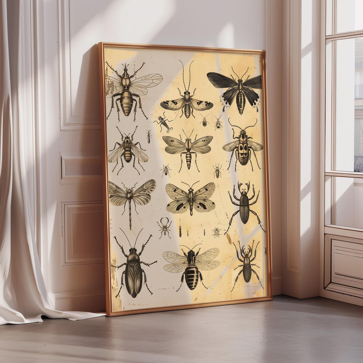 Vintage Insect Art Print – Antique Entomology Wall Art, Sepia Bug Illustration