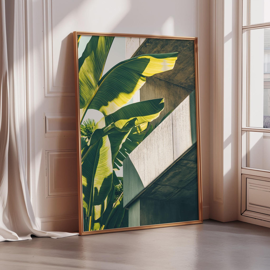 a large framed picture of a banana leaf on a wall, with a window and a white curtain in the background.