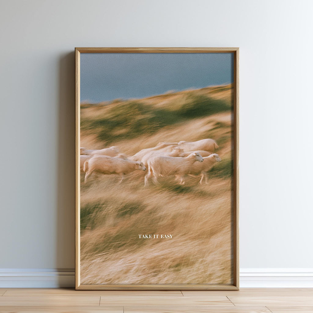 A framed photograph of a herd of sheep grazing in a field with a blue sky in the background.
