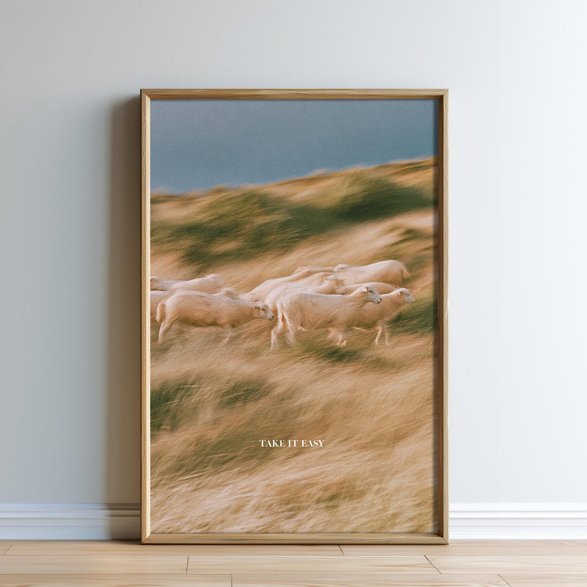 A framed photograph of a herd of sheep grazing in a field with a blue sky in the background.