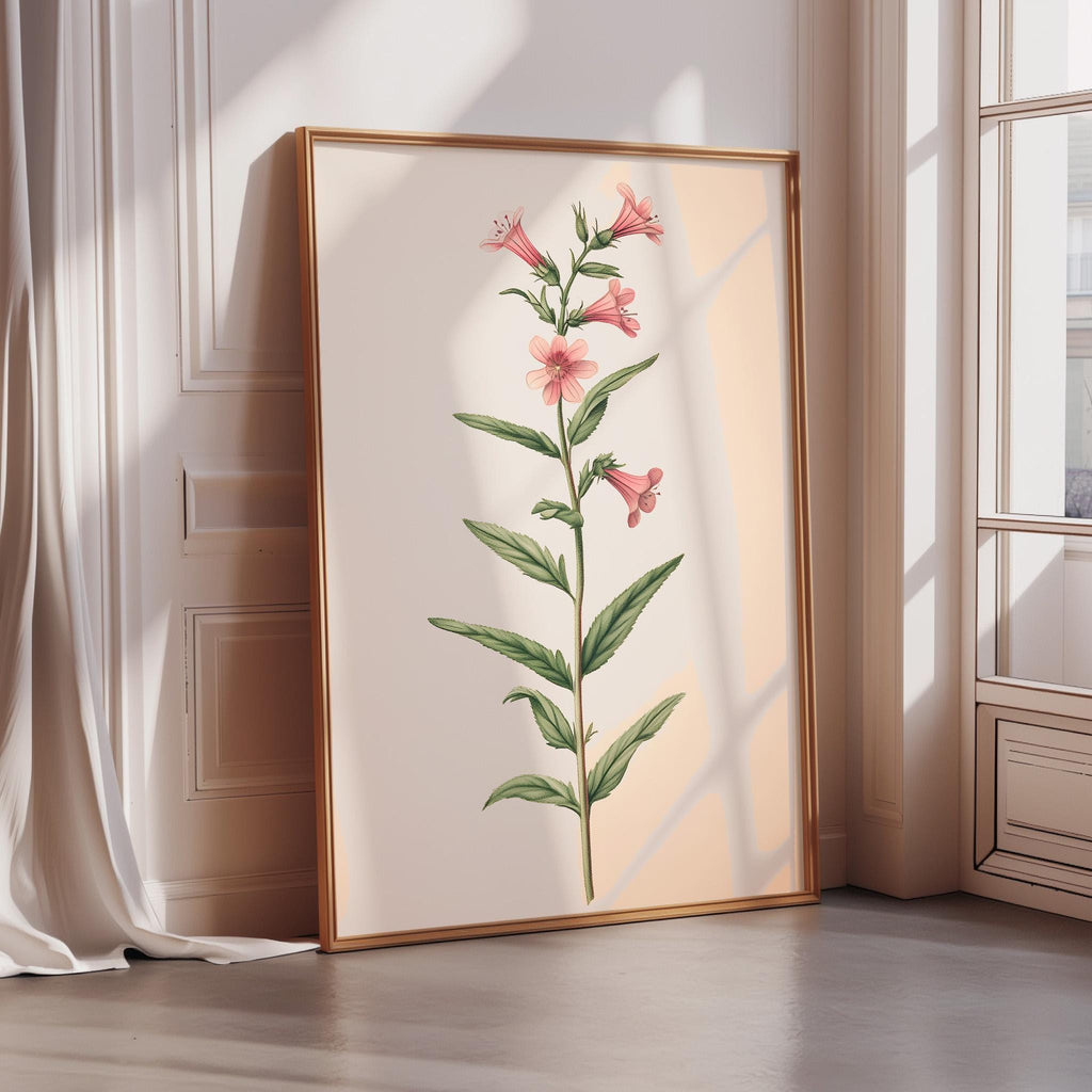 A framed botanical illustration of a pink flower is displayed on a wall in a room with a window.