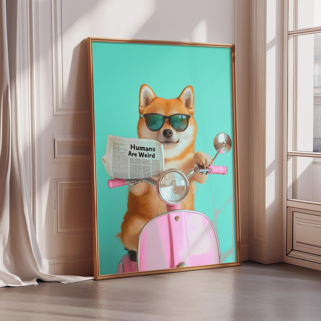 A dog wearing sunglasses and holding a newspaper with the headline "Humans are Weird" is sitting on a pink scooter against a teal background.