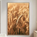 a large framed photograph of golden wheat stalks hanging on a wall in a living room.