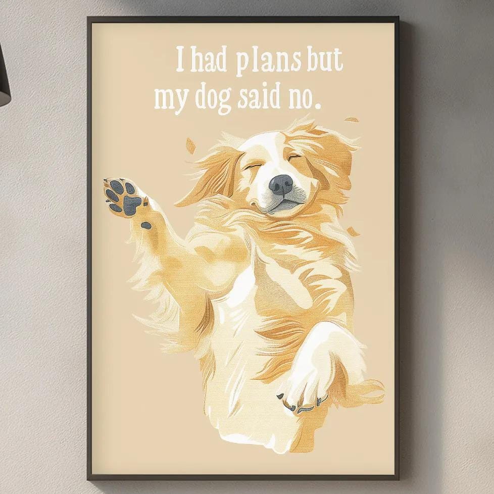 a framed illustration of a dog with a caption that reads "I had plans but my dog said no".
