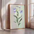 A framed botanical illustration of a purple bellflower is displayed on a wall in a room with a window.