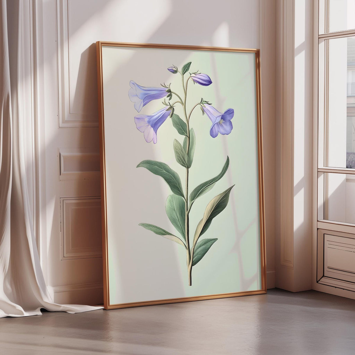 A framed botanical illustration of a purple bellflower is displayed on a wall in a room with a window.