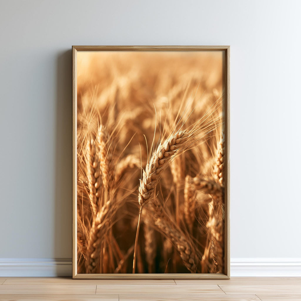 A framed photograph of golden wheat stalks against a white background.