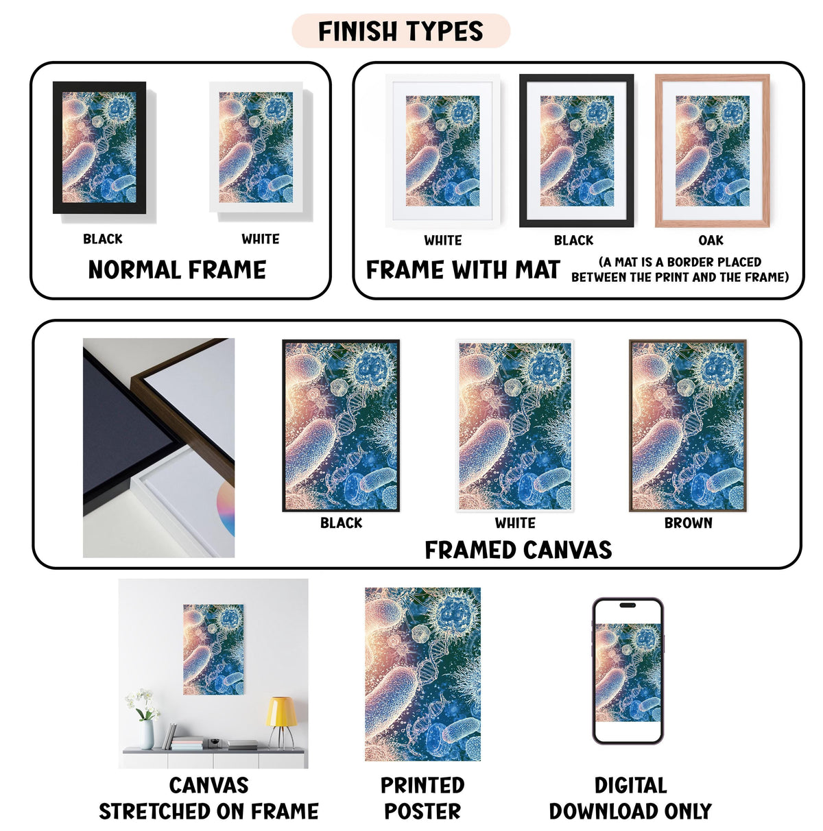 a series of photos with different frames and text