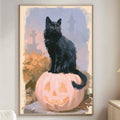 A black cat is sitting on a pumpkin in a cozy living room, with a lamp and a bookshelf visible in the background.