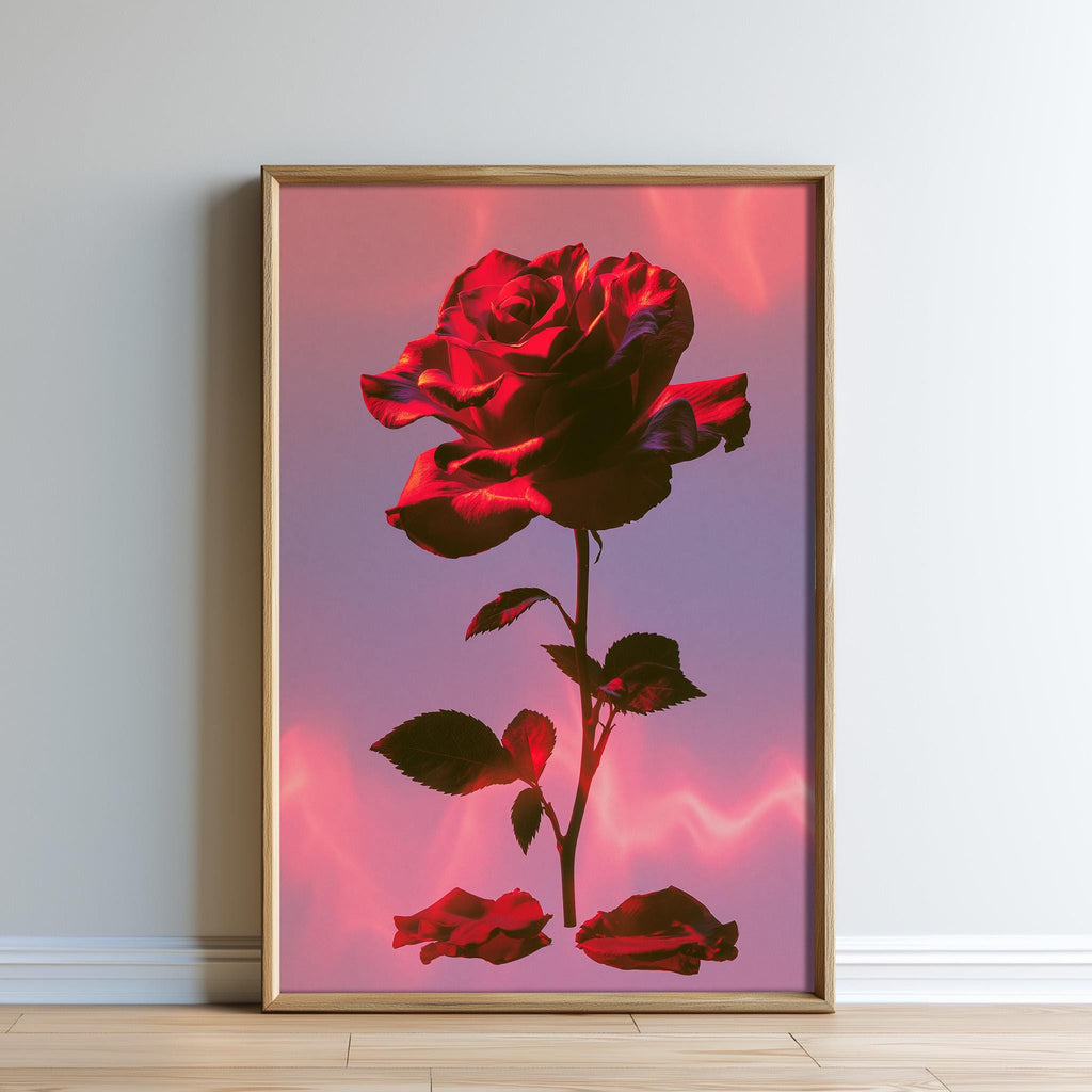 A framed image of a large, vibrant red rose against a pink and purple background.