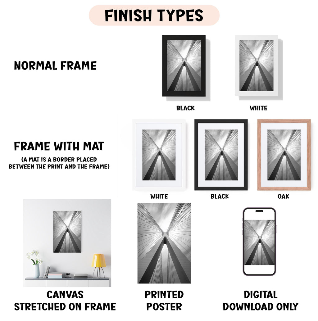 various finish types for artwork, including a normal frame, a frame with a mat, a white frame, a black frame, an oak frame, a white canvas stretched on a frame, a printed poster, and a digital download only.