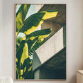 a large framed picture of a banana leaf on a wall, with a white sofa and a wooden side table in the foreground.