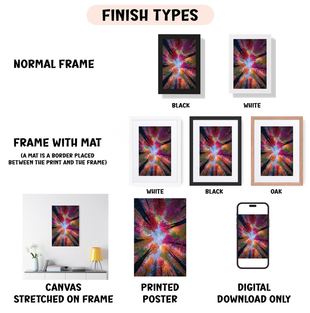 various types of artwork, including a normal frame, a frame with a mat, a white frame, a black frame, an oak frame, a white canvas stretched on a frame, a printed poster, and a digital download only.