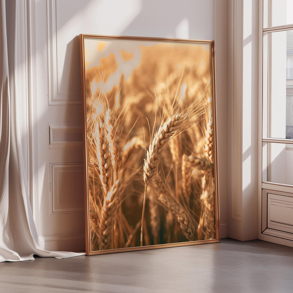a large framed picture of wheat in the corner of a room, with sunlight streaming in from a window behind it.